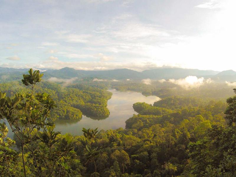 上门做饭阿姨<br>btozrgo.cn 预制菜终结者